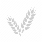 17 img