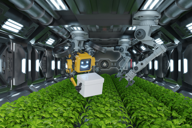 Frame 20 img
